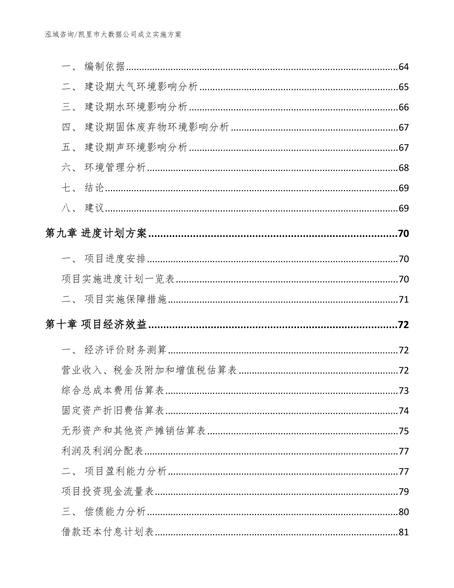 凱里市大數(shù)據(jù)公司成立實施方案(模板范文)_第5頁