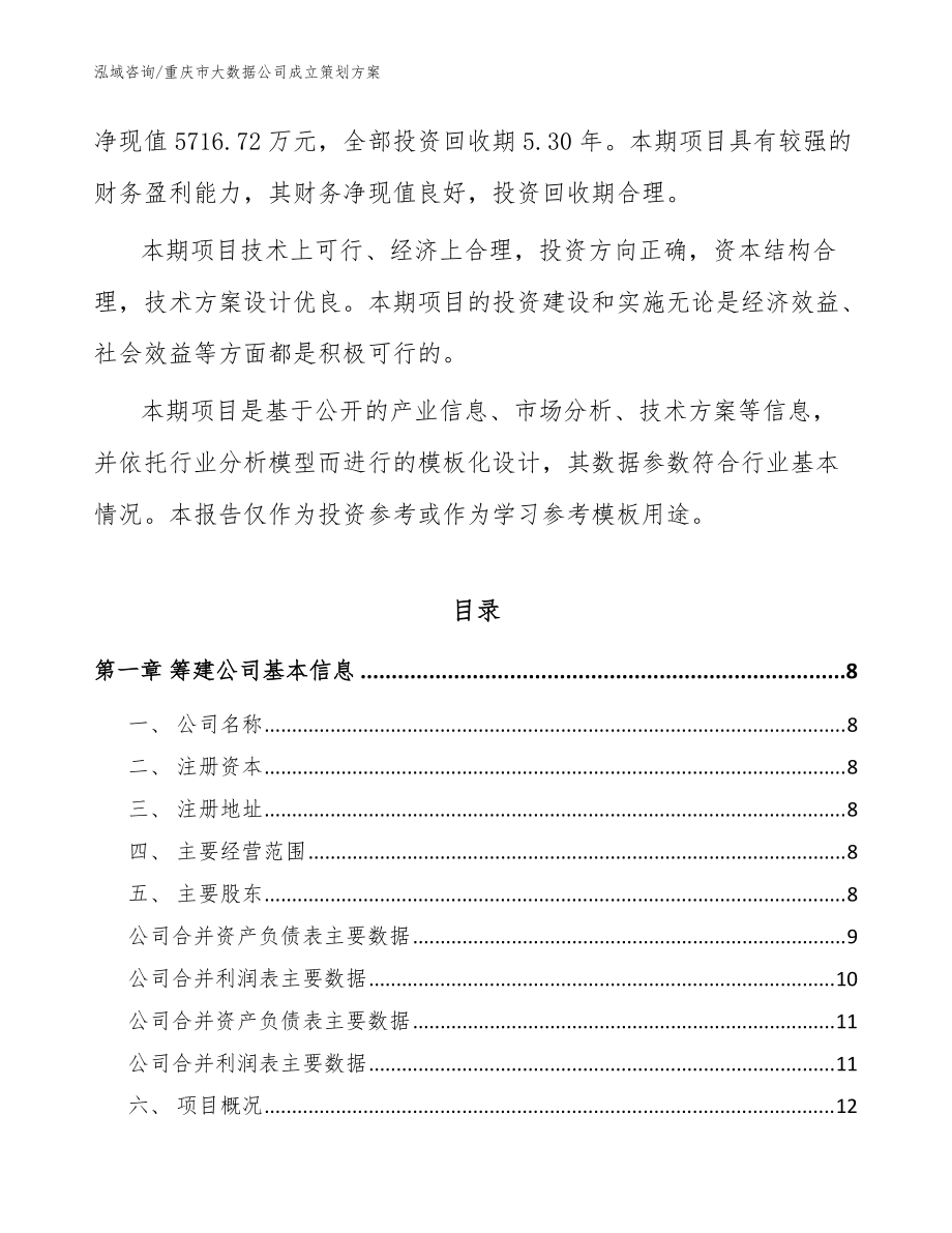 重庆市大数据公司成立策划方案参考范文_第3页