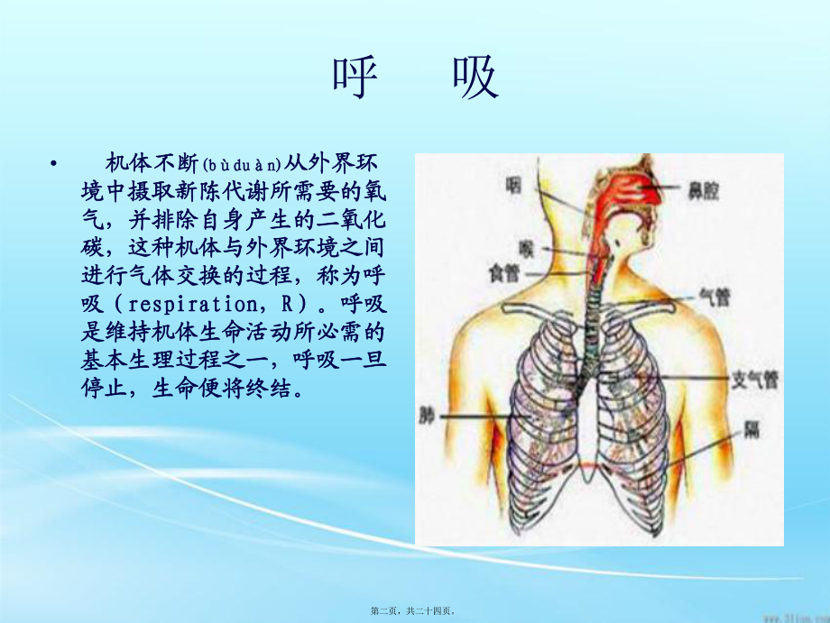 醫(yī)學(xué)專題—第三節(jié)-呼吸的觀察課件_第2頁(yè)