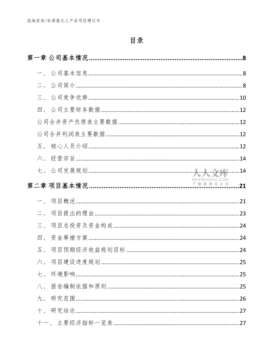 松原氯化工產品項目建議書(模板范文)_第2頁