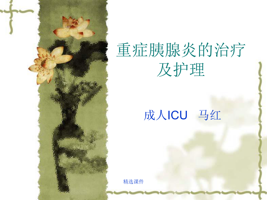 重症胰腺炎的治疗及护理_第1页