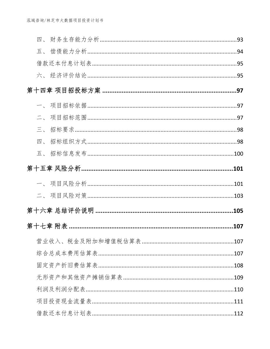 林芝市大数据项目投资计划书范文模板_第5页