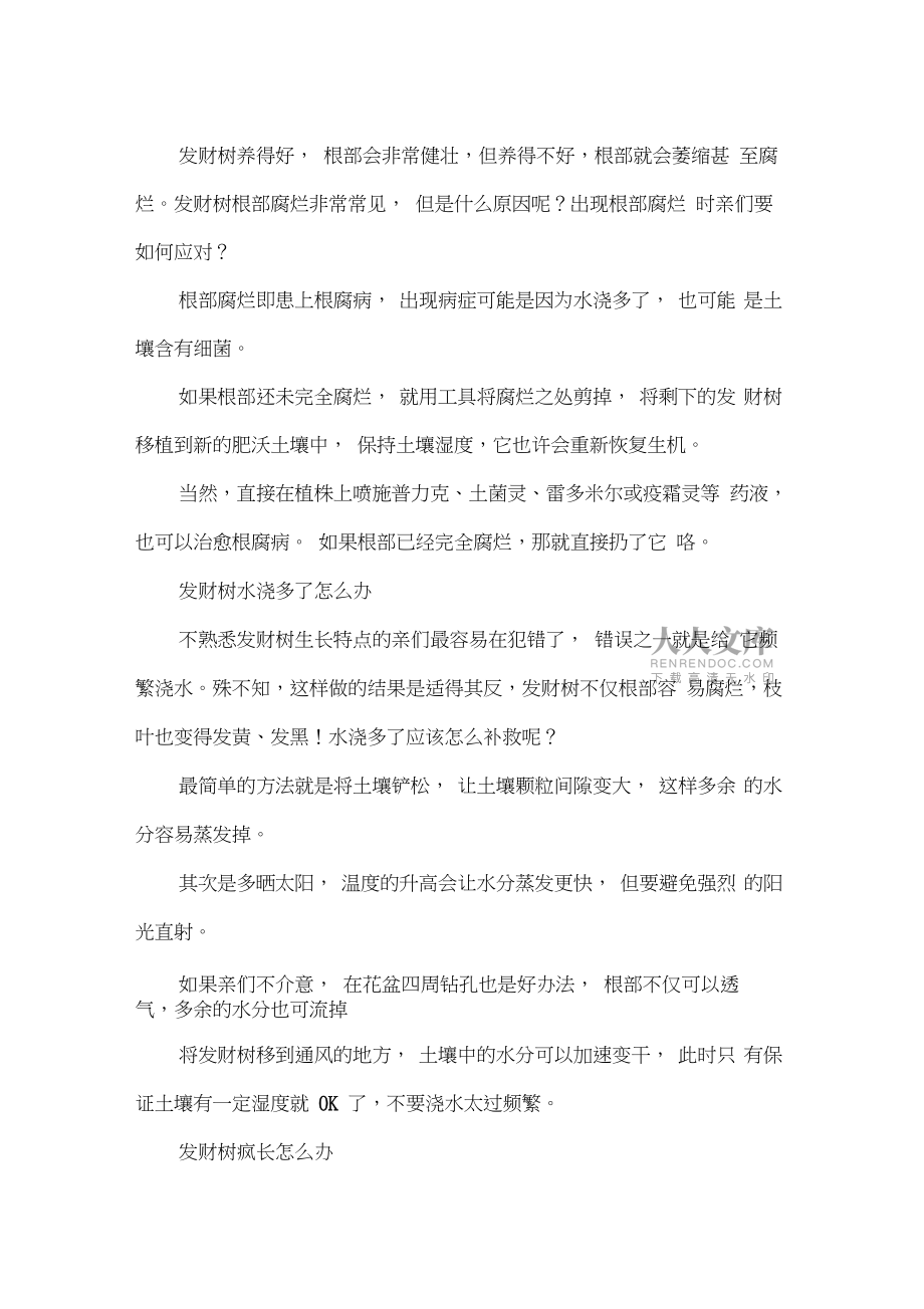 发财树叶子发黄怎么办_第2页