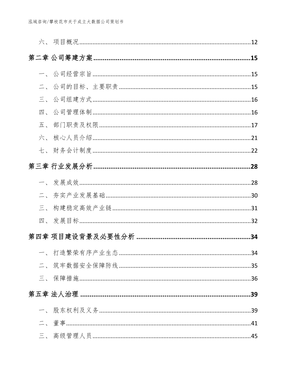 攀枝花市关于成立大数据公司策划书_模板范本_第4页