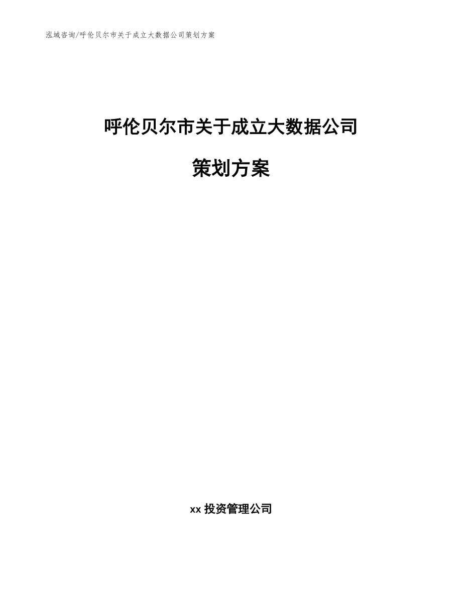呼倫貝爾市關于成立大數據公司策劃方案(參考范文)_第1頁