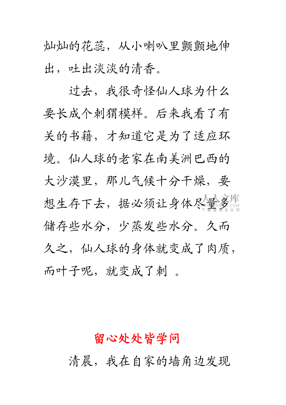人教版四年級語文上冊第二單元作文_第2頁