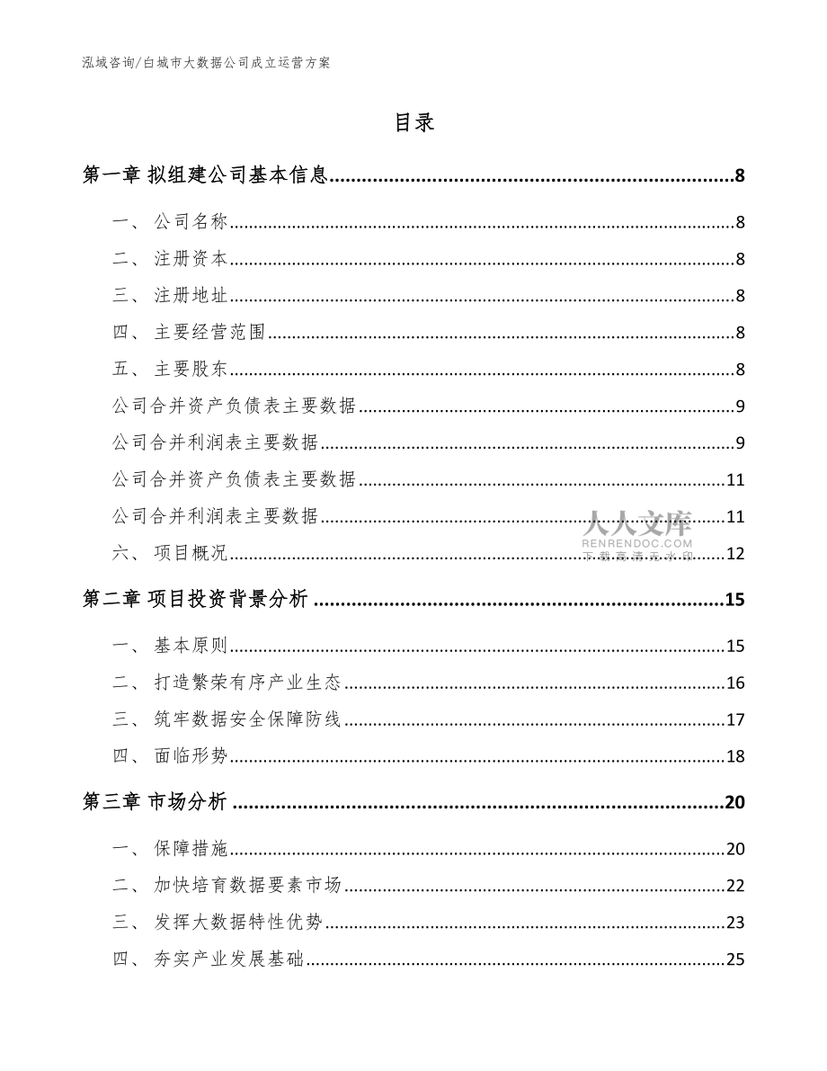 白城市大数据公司成立运营方案模板范文_第2页