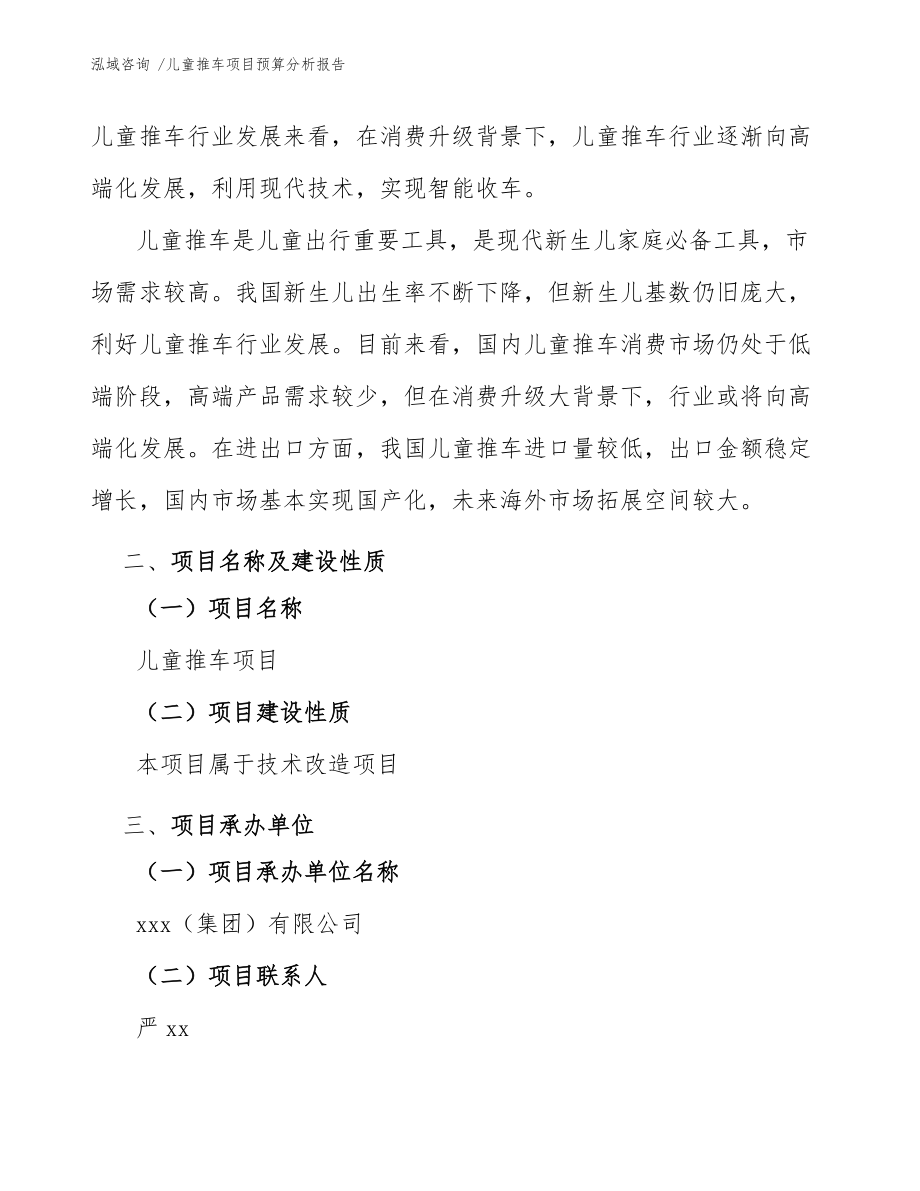 儿童推车项目预算分析报告(模板范文)_第5页