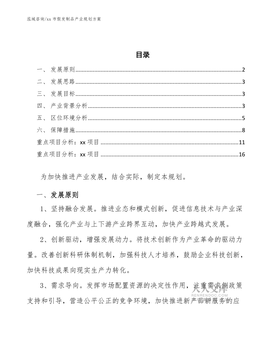 xx市假发制品产业规划方案(审阅稿)_第2页