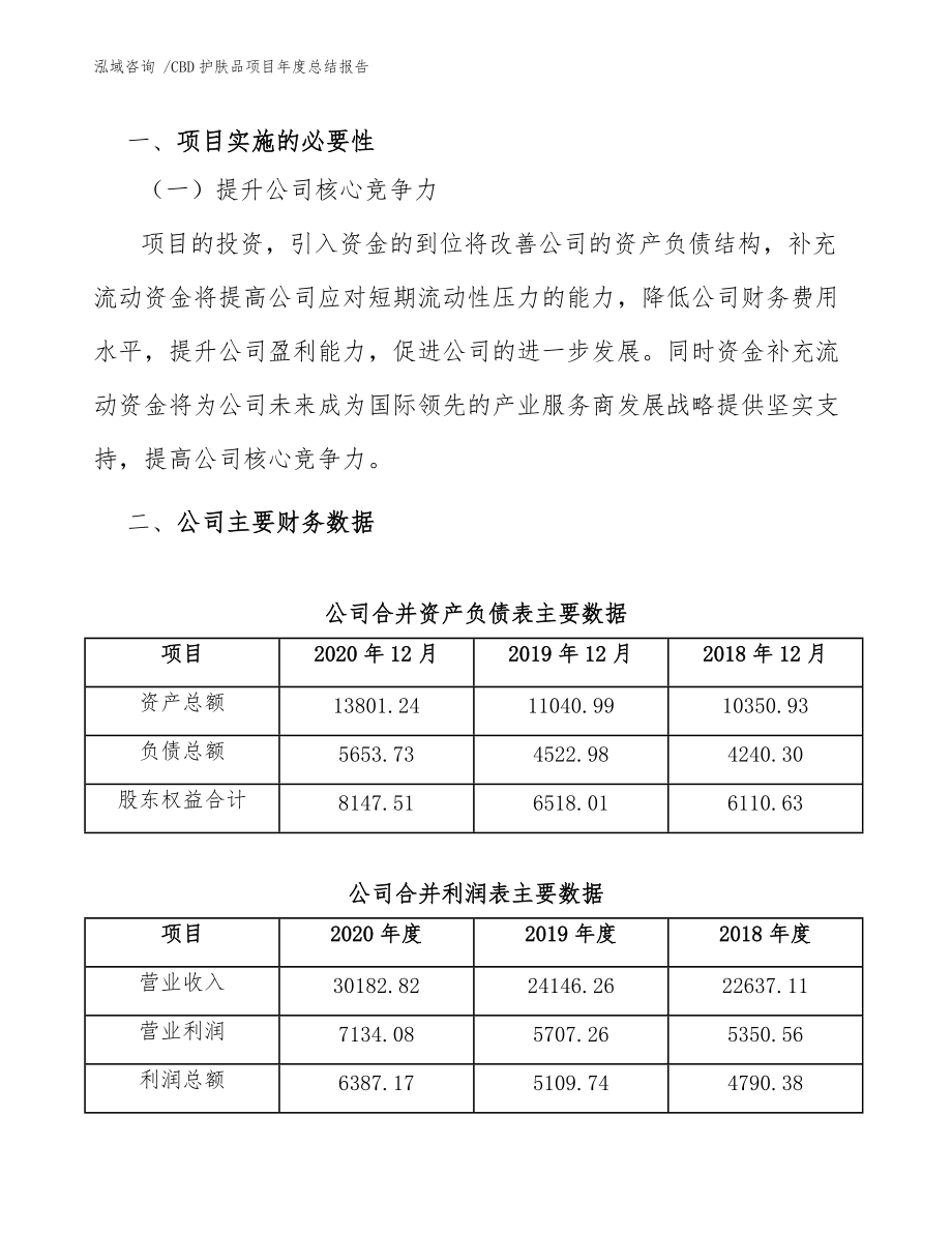 CBD护肤品项目年度总结报告(模板)_第4页