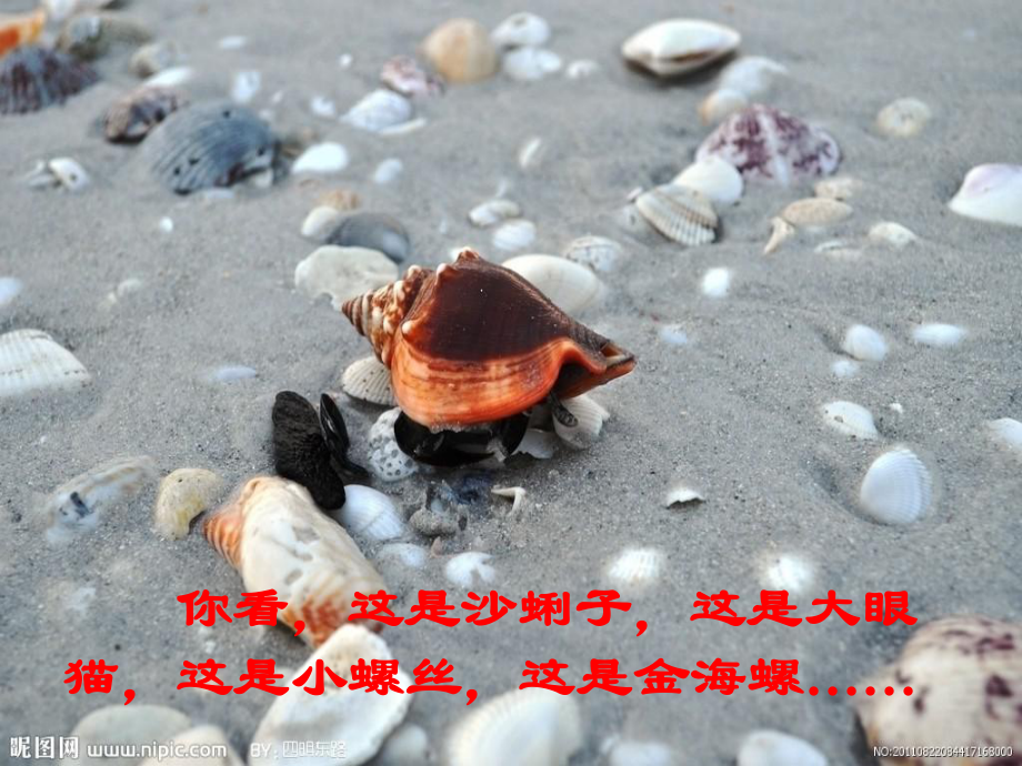 18_在金色的沙灘上_第3頁(yè)