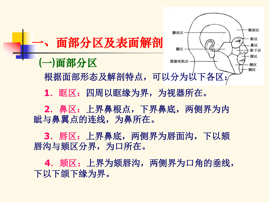 面部局部解剖學(xué)綜述_第3頁