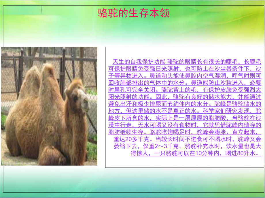 有利于生存的本領(lǐng)_第3頁