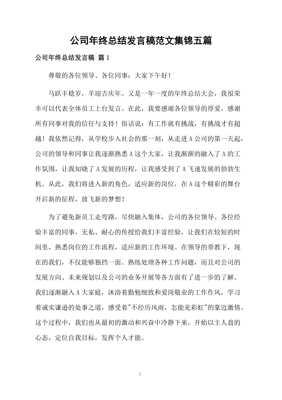公司年終總結發言稿范文集錦五篇_第1頁