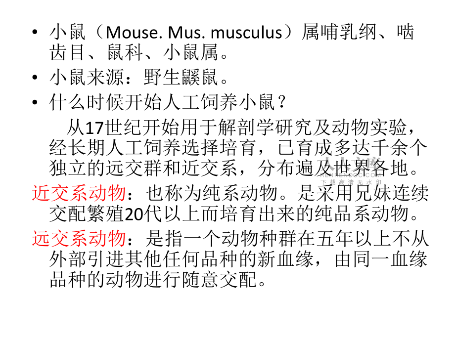 實驗課:小鼠飼養_第2頁