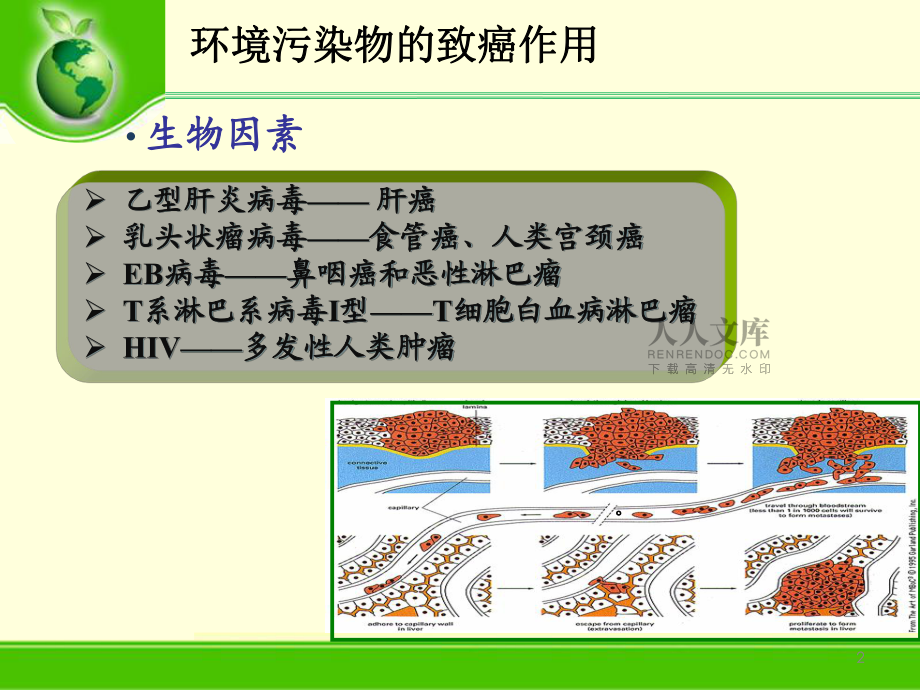 環(huán)境污染物的特殊毒性及其評(píng)價(jià)致癌作用(課堂PPT)_第2頁(yè)