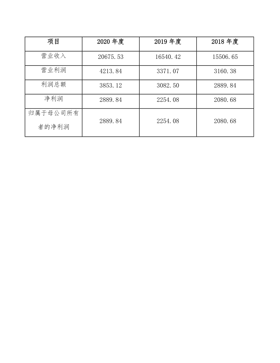 余甘子项目绩效管理手册模板_第5页