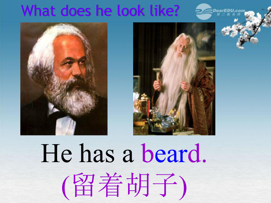 湖北省当阳市淯溪初级中学七年级英语《Unit7 What does he look like:Section B 1A-2C》课件 人教新目标版_第4页