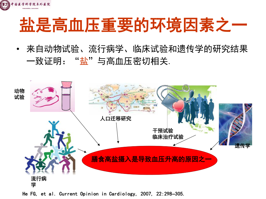 盐敏感性高血压的药物治疗选择_第3页