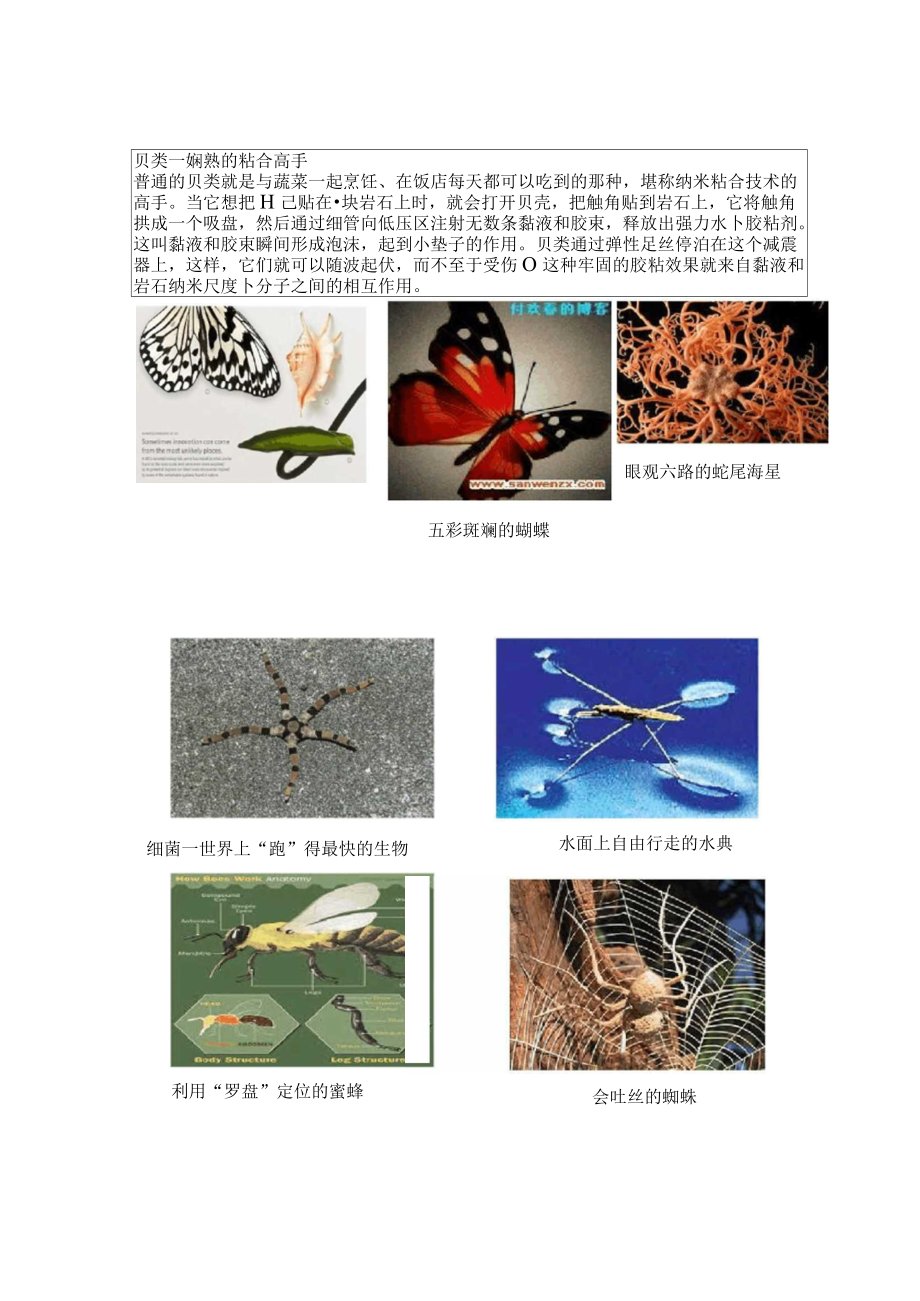 納米材料和納米結(jié)構(gòu)要點(diǎn)_第4頁(yè)