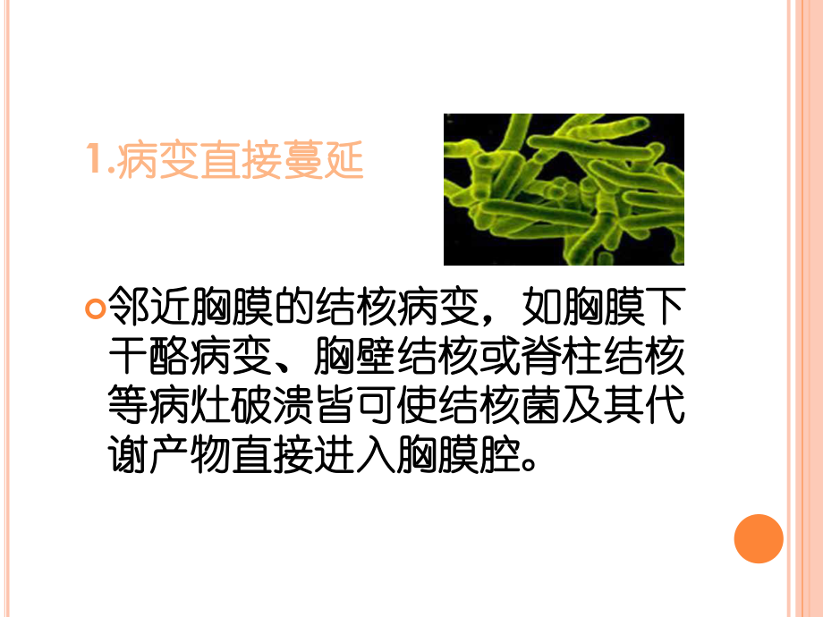 結核性胸膜炎的護理_第4頁
