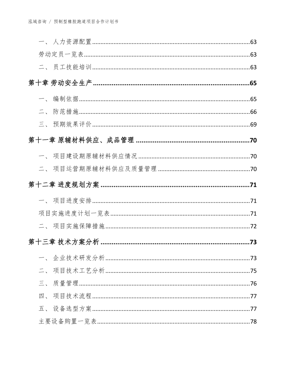 预制型橡胶跑道项目合作计划书_模板_第5页