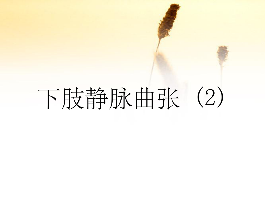 下肢静脉曲张 (2)(精品)_第1页