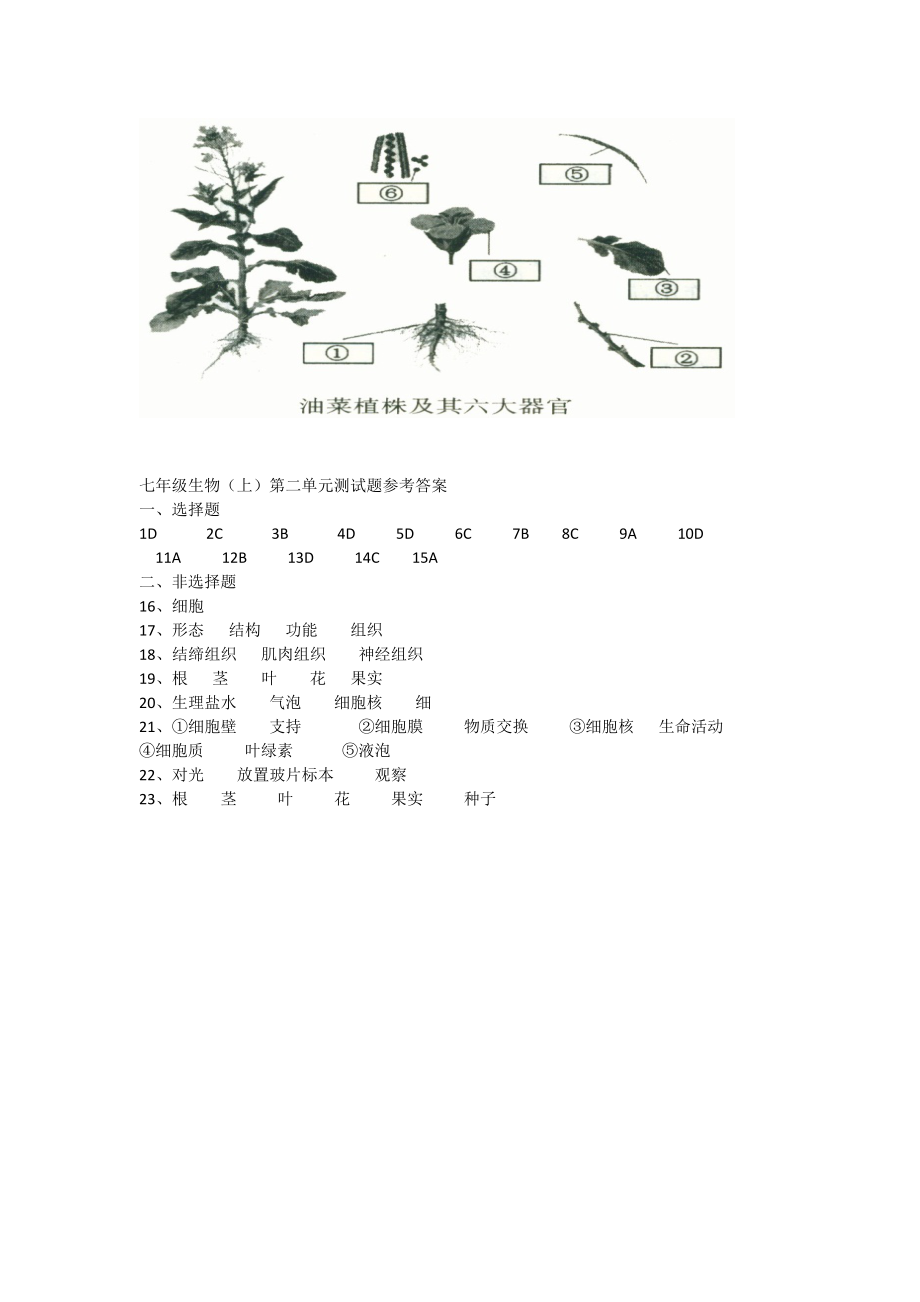 七年级生物上册测试题及答案_第5页