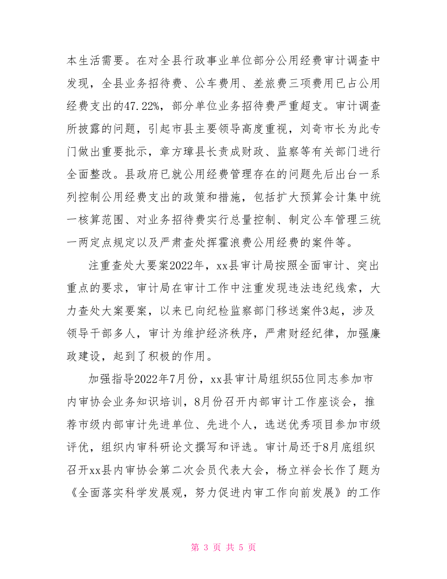 审计局2022年工作总结审计局个人工作总结.doc_第3页
