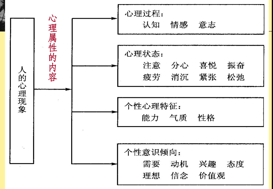 基础知识(第五章)_第3页
