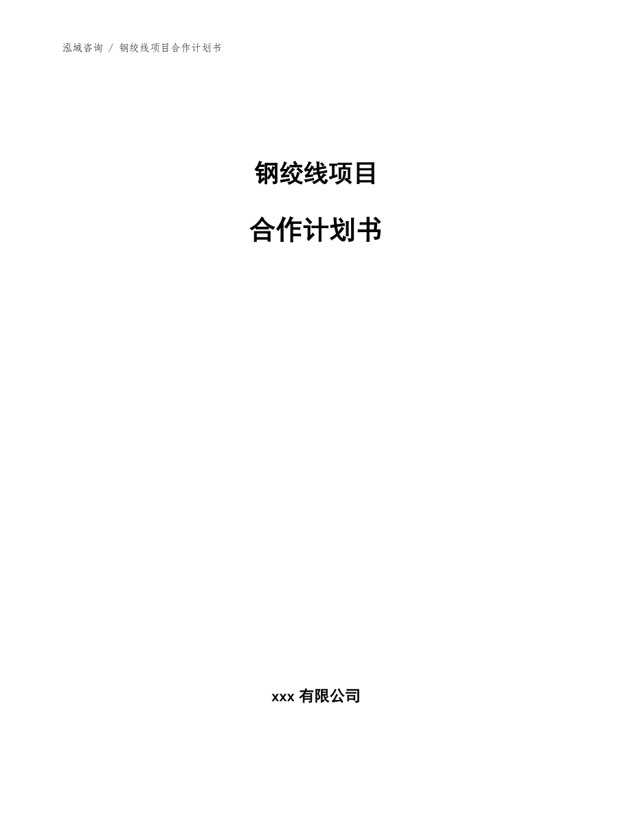 鋼絞線項目合作計劃書_模板范文_第1頁