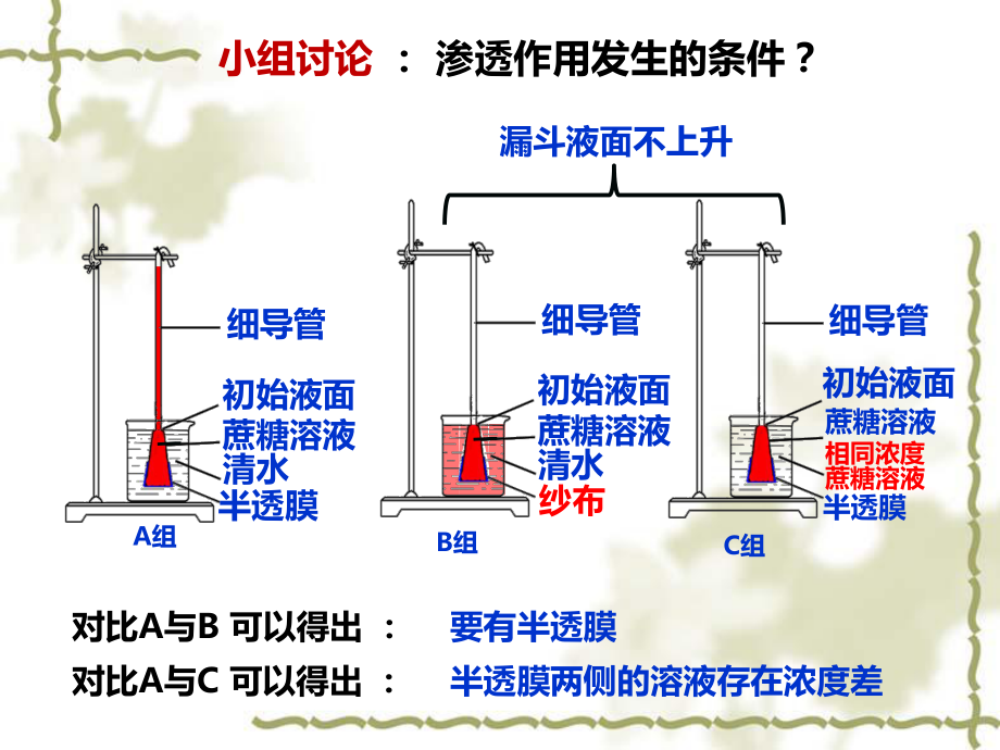 物質(zhì)跨膜運輸?shù)膶嵗n件_第5頁
