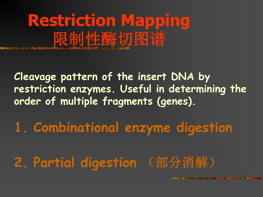 分子生物学教学课件:4-Section J Analysis and uses of cloned DNA_第5页