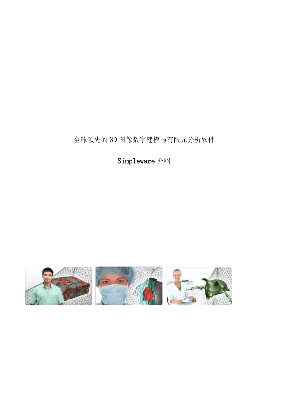 全球領先的3D圖像數字建模與有限元分析軟件simpleware_第1頁