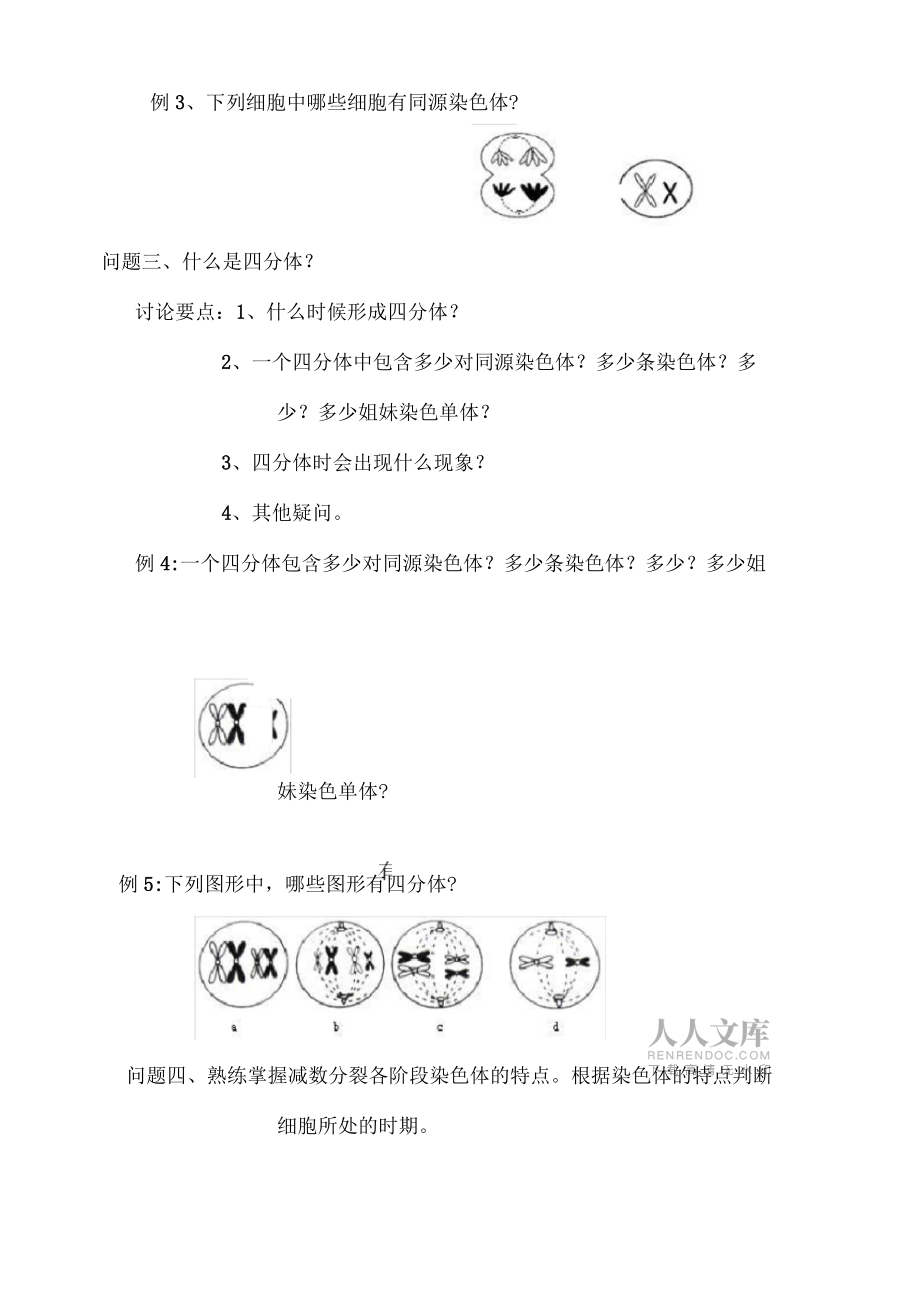 减数分裂复习课学案_第2页