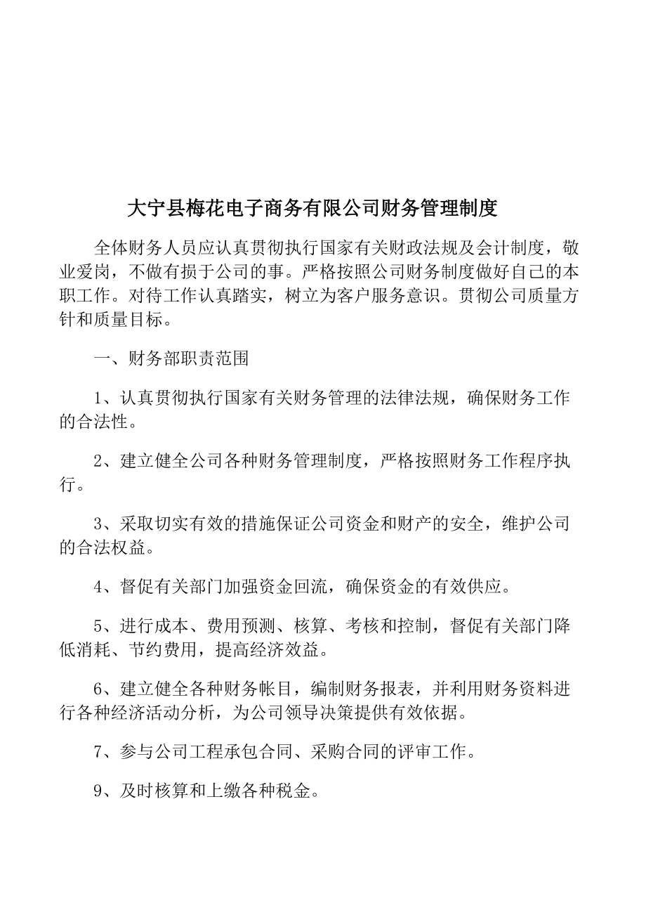 小公司財(cái)務(wù)管理制范本14791_第5頁(yè)