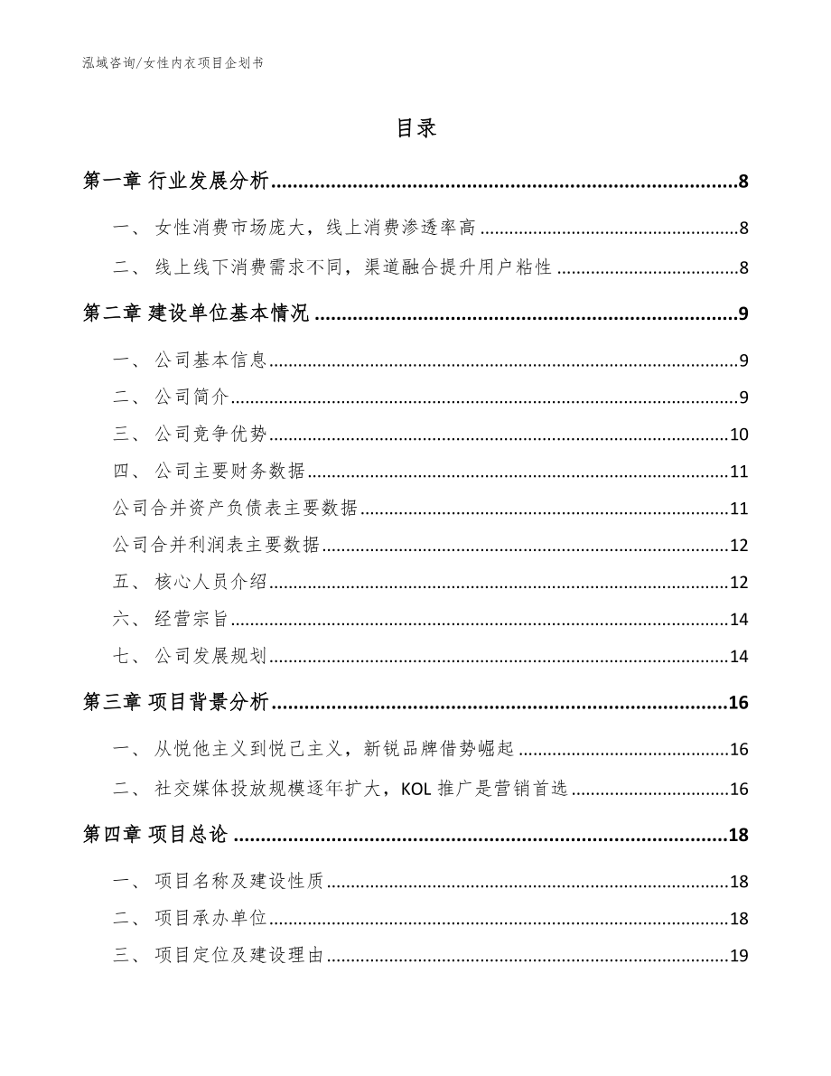 女性內衣項目企劃書參考模板_第1頁