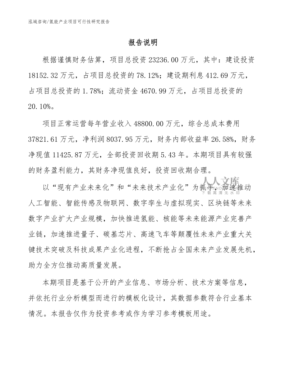 氫能產業項目可行性研究報告_模板_第2頁