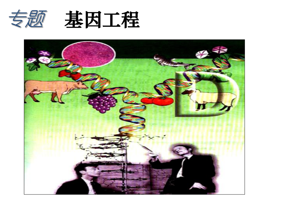 基因工程二轮复习复习用_第1页