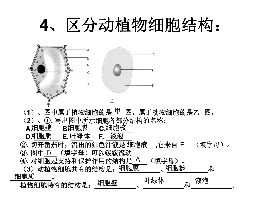 初中生物会考复习资料_第5页