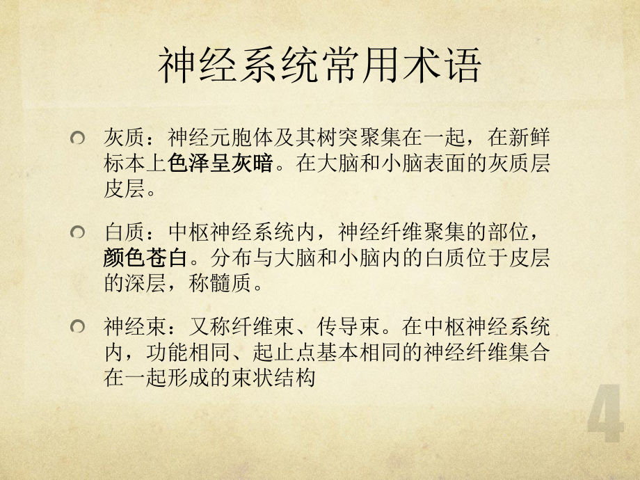 第二章 神經(jīng)系統(tǒng)_第5頁