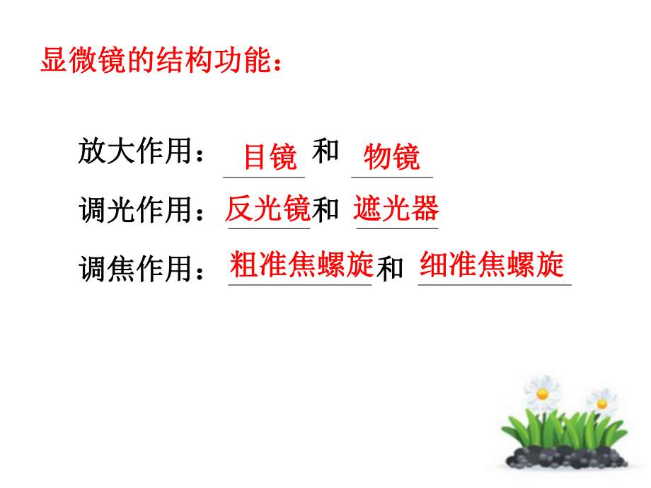 专题复习二_生物体的结构层次_第3页