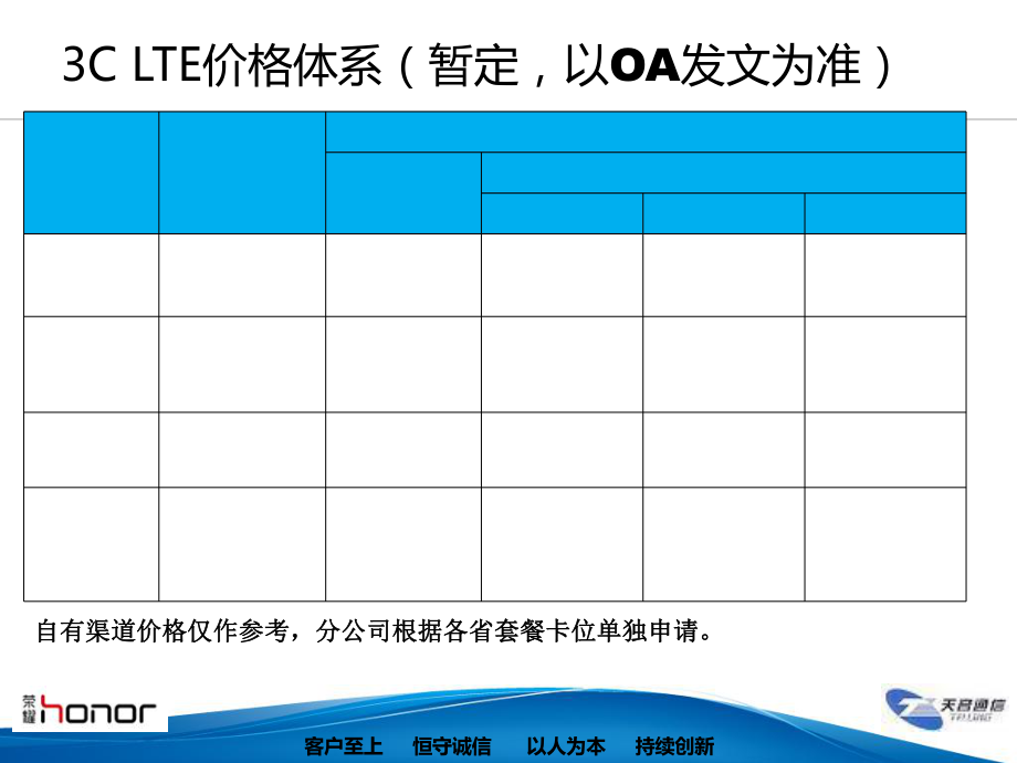分公司3CLTE上市方案模板_第3頁