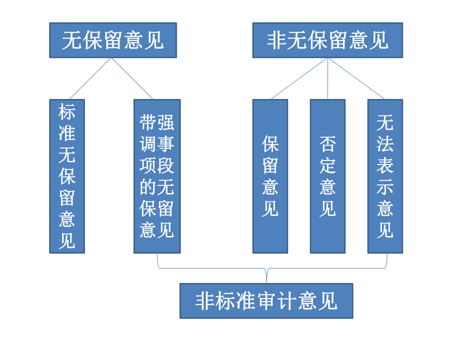 第14章审计报告_第4页