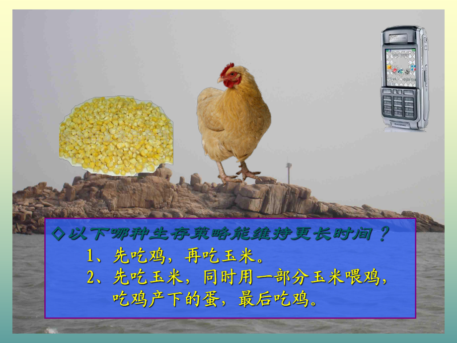 必修3-5-2能量流動_第3頁