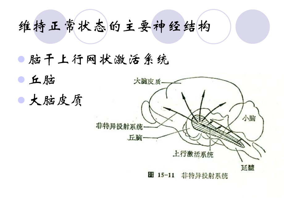 神经科--昏迷的诊断、鉴别与处理_1_(2)_第3页