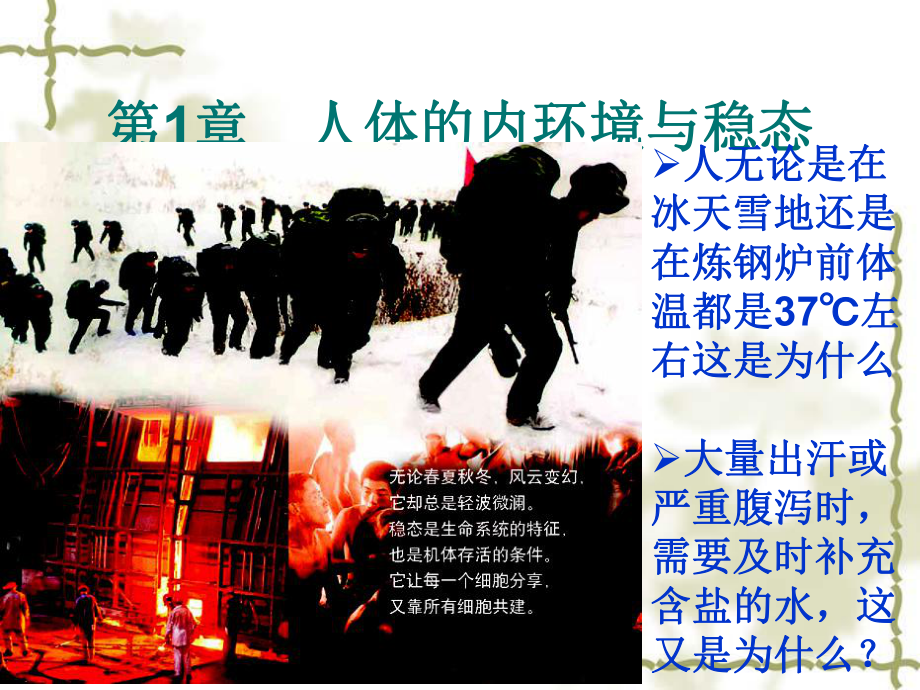 K4细胞生活的环境课件人教版必修3_第4页