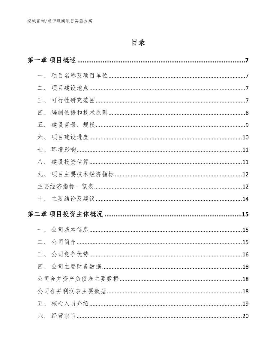 咸宁蝶阀项目实施方案【参考范文】_第1页