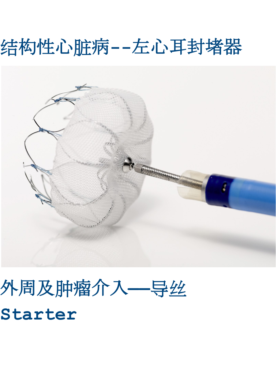 波士顿科学主流医疗产品_第1页