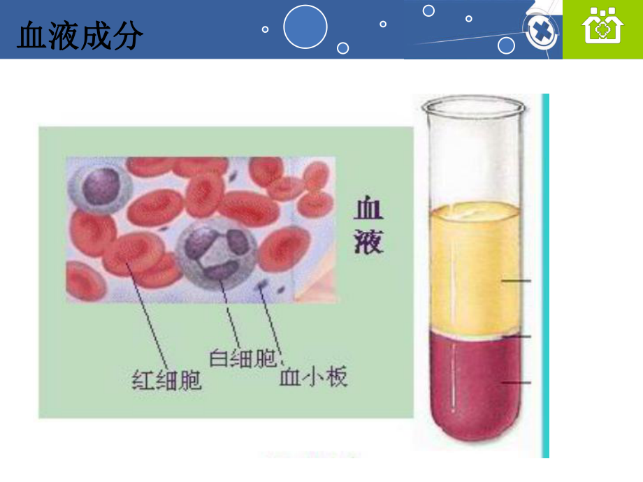 血常规的判读及临床意义_第3页